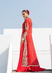 Red Pakistani Wedding Dress in Kameez Sharara Style Online