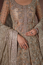 Royal Champagne Gold Pakistani Bridal Dress Embellished Gown