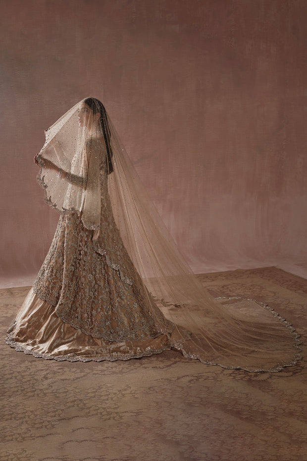 Royal Champagne Pakistani Bridal Dress Heavily Embellished Gown