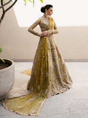 Royal Mehndi Lehenga Choli Pakistani Wedding Dress in Oakland