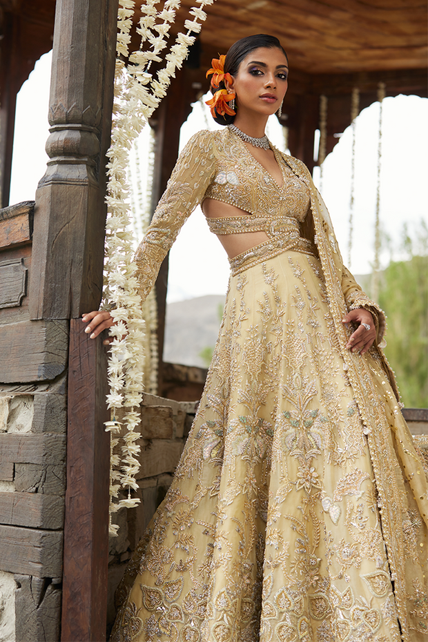 Royal Pakistani Bridal Dress in Gown Dupatta Lehenga Style