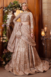 Royal Pakistani Bridal Dress in Tissue Choli Lehenga Style