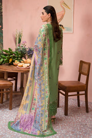 Royal Pakistani Salwar Kameez Green Shade Salwar Suit