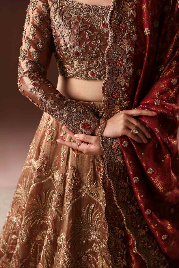 Royal Rusted Embroidered Pakistani Bridal Dress Lehenga choli