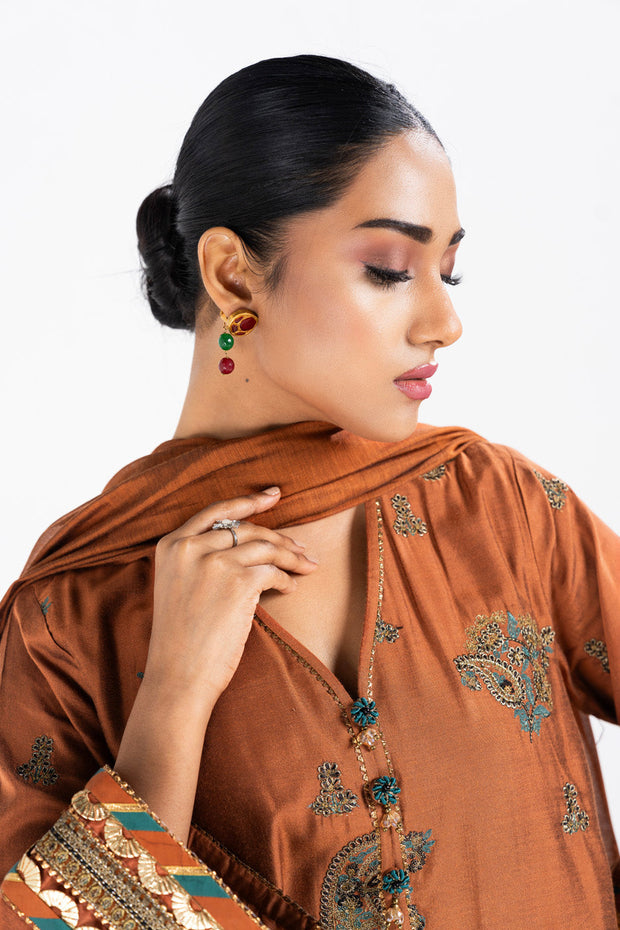 Rust Brown Embroidered Pakistani Salwar Kameez Party Salwar Suit