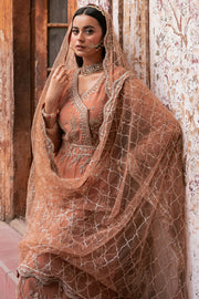 Rust Orange Heavily Embellished Pakistani Wedding Dress Frock