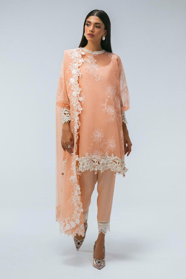 Salmon Pink Organza Straight Shirt Luxury Pret Pakistani Salwar Kameez