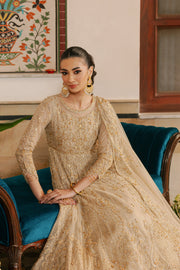 Traditional Champagne Gold Embroidered Pakistani Dress Pishwas