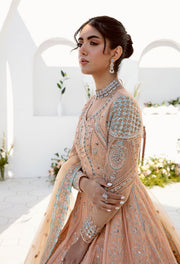 Traditional Pishwas Frock Pakistani Wedding Dress