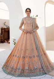 Traditional Pishwas Frock Peach Pakistani Wedding Dress