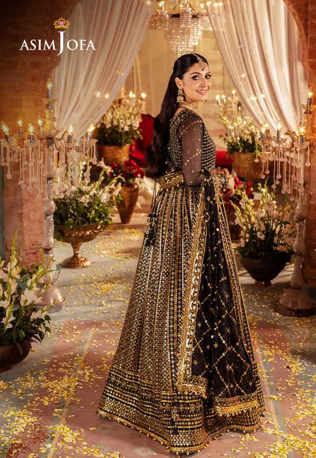 TRy Elegant Black and Golden Luxury Embroidered Pakistani Party Wear Pishwas