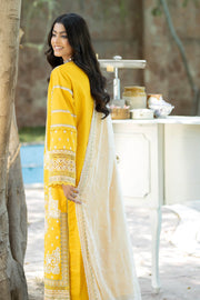 Yellow Embroidered Pakistani Salwar Kameez Dupatta Salwar Suit