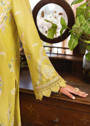 Yellow Pakistani Party Dress in Kameez and Trouser Style