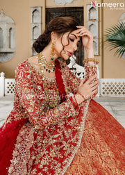 Asian Wedding Dress Designer Frock and Lehenga