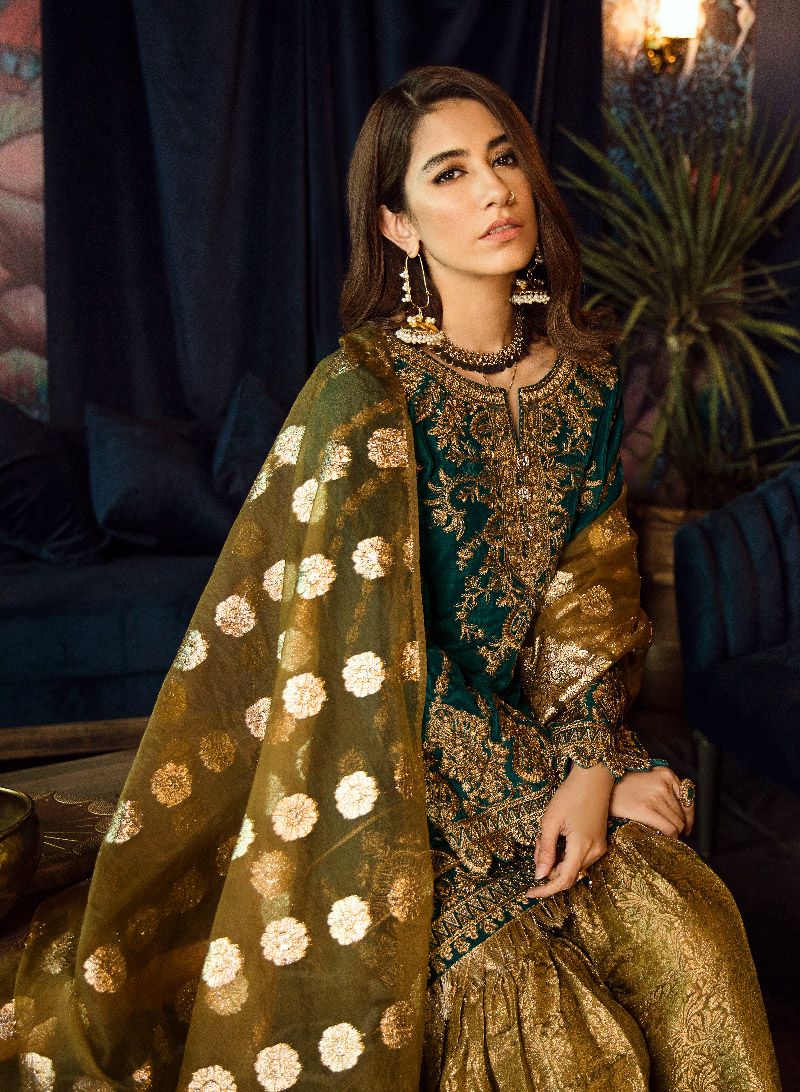 Asian Embroidered Velvet Dress with Beautiful Work – Nameera by Farooq