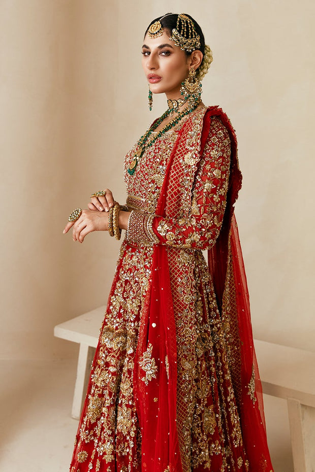 Choli and Red Bridal Lehenga Pakistani Dress