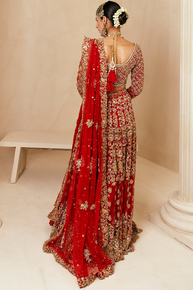 Classic Choli and Red Bridal Lehenga Pakistani Dress