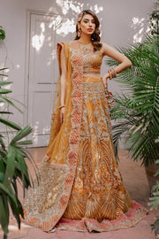 Classic Orange Lehenga Choli Dress Pakistani