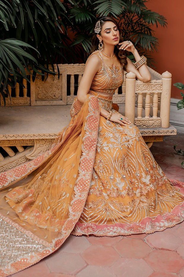 Classic Orange Lehenga Choli Dress Pakistani for Mehndi