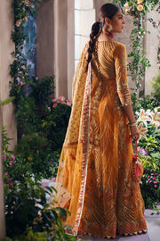 Classic Orange Lehenga with Choli Dress Pakistani