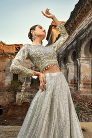 Classy Pakistani Royal Wedding Choli Lehenga Dress