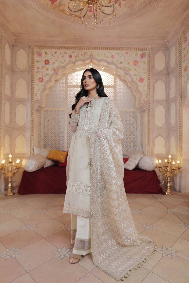 White Pakistani Suits - Free Shipping on White Pakistani Clothing Online in  USA