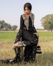 Elegant Pakistani Designer Salwar Kameez 