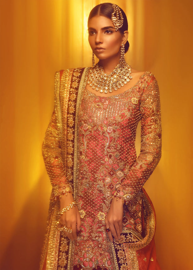 Elegant Pakistani Bridal Red Lehnga for Wedding Clear View