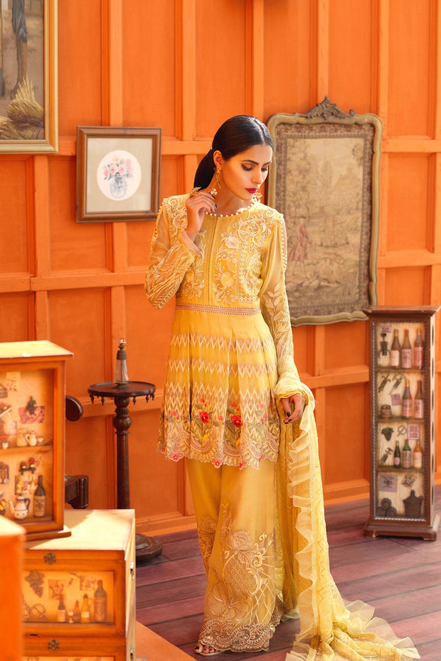 Elegant peplum Pakistani dress online