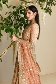 Embellished Gown Sharara Pakistani Bridal Dress for Wedding