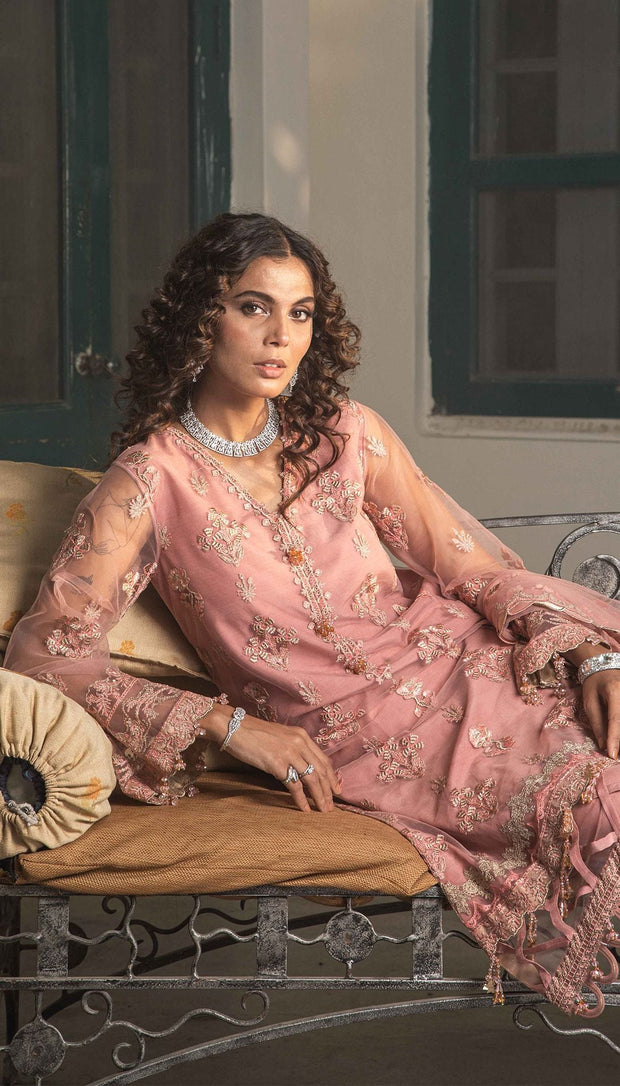 Embroidered Pakistani Suit in Soft Pink Shade Online