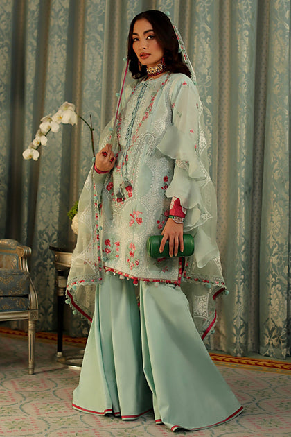Heavily Embroidered Palazzo Kameez Pakistani Eid Dress on Lawn ...