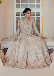 Embroidered Walima Dress in Ivory White