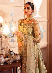 Golden Nikah Dress in Lehenga Shirt 2022