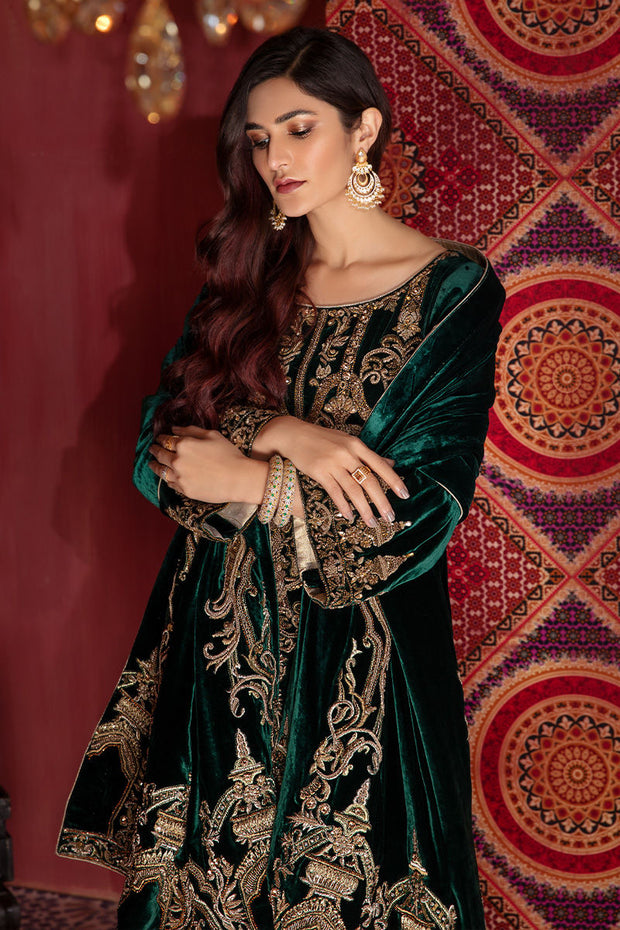 Green velvet embroidery work gown  Velvet dresses outfit, Velvet dress  designs, Velvet pakistani dress