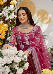 Kameez Trouser Pakistani Wedding Dress