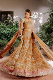 Latest Classic Orange Lehenga Choli Dress Pakistani