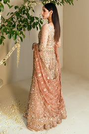 Latest Embellished Gown Sharara Pakistani Bridal Dress