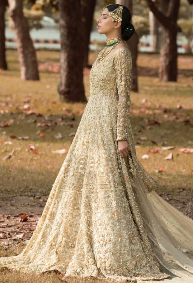 Latest Pakistani Walima Dress for Wedding