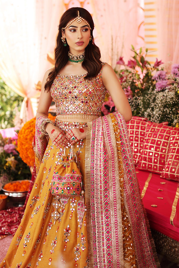 Lehenga Choli