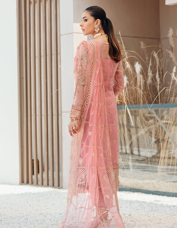 Organza Pink Salwar Kameez