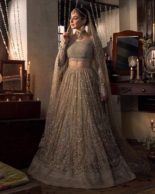 Royal Pakistani Bridal Dress in Tissue Lehenga with Net Choli and Dupa ...