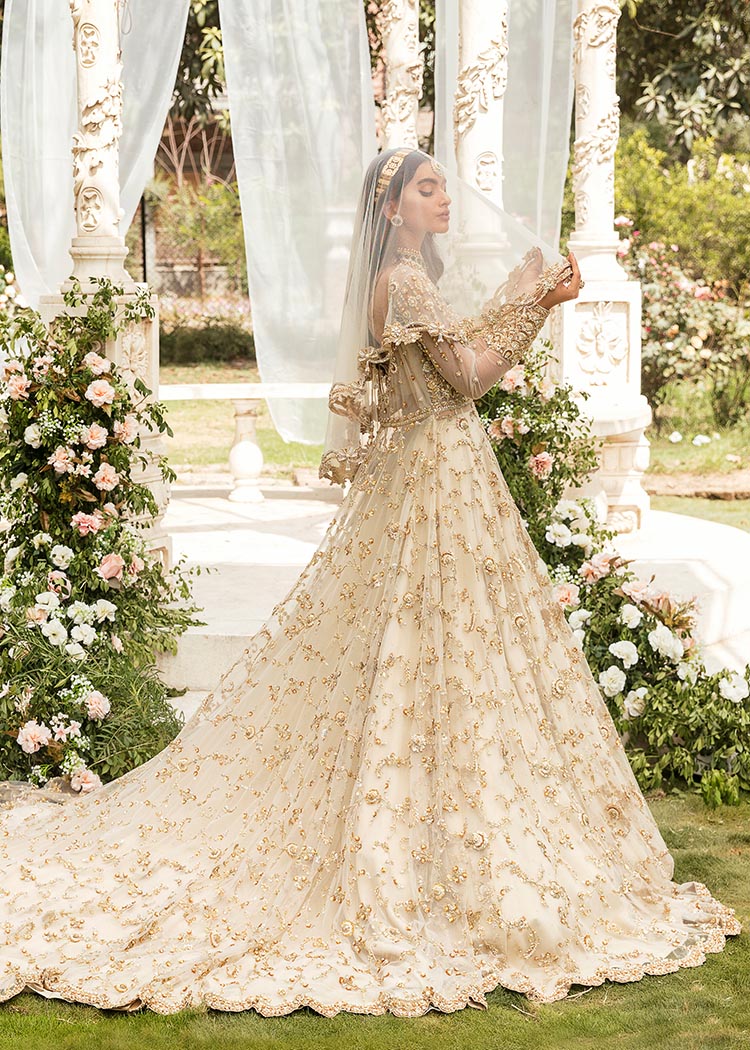 Buy Royal Pakistani Bridal Gown Lehenga with Dupatta Dress – Nameera by ...