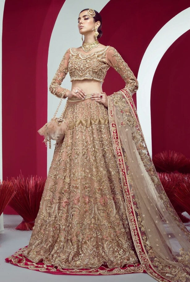 Pakistani Bridal Lehnga Choli for Wedding Overall Look