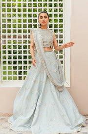 Pakistani Bridal Net Choli with Raw Silk Lehenga Dress