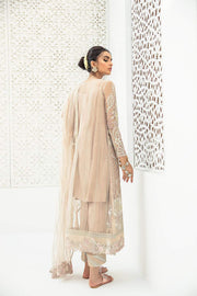 Pakistani Latest Party Dress with Embroidery Backside Look