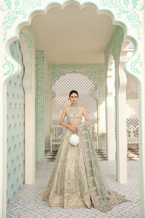 Pakistani Luxury Bridal Dress for Wedding 