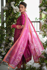 Pakistani Pink Embroidered Long Kameez With Trousers