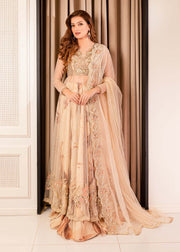 Pakistani Pishwas Frock with Lehenga and Net Dupatta