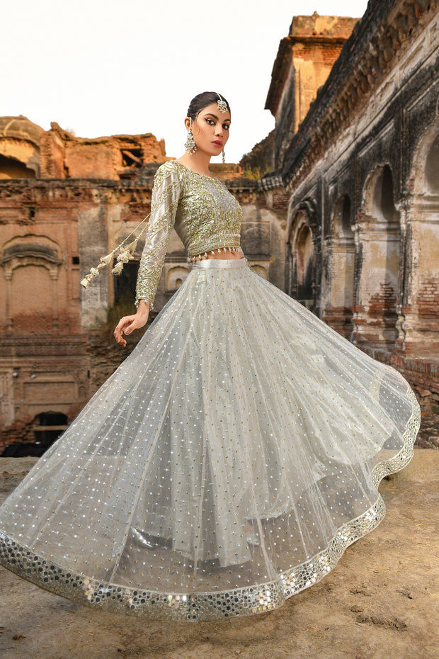 Pakistani Royal Wedding Choli Lehenga Dress